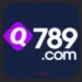 Q789 Game